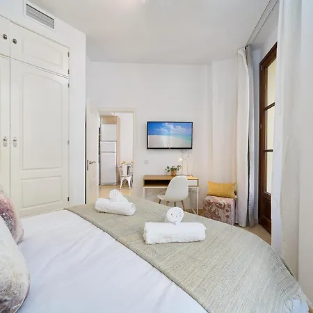 Charming Historic Center Apartment Malaga
